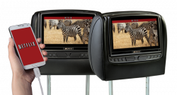 Headrest DVD and Video
