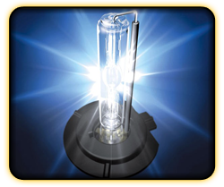hid bulb article